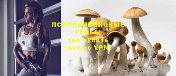 a pvp Алексин