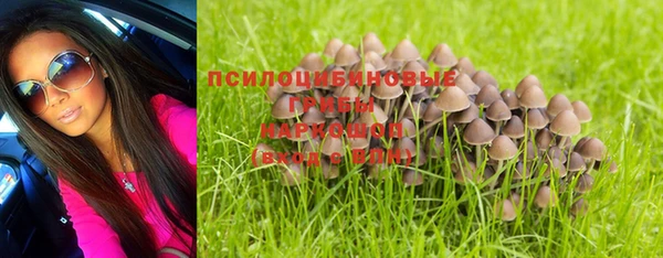 мет Абинск