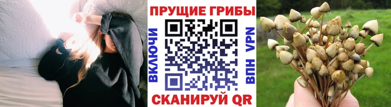 Галлюциногенные грибы мухоморы как найти наркотики Ува